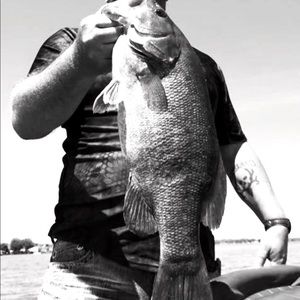 Meet your Posher, Bill